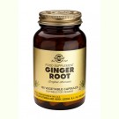 Solgar Ginger Root (Gember)